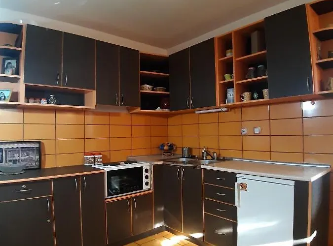 Apartment Jovana Sljivovica (Zlatibor)